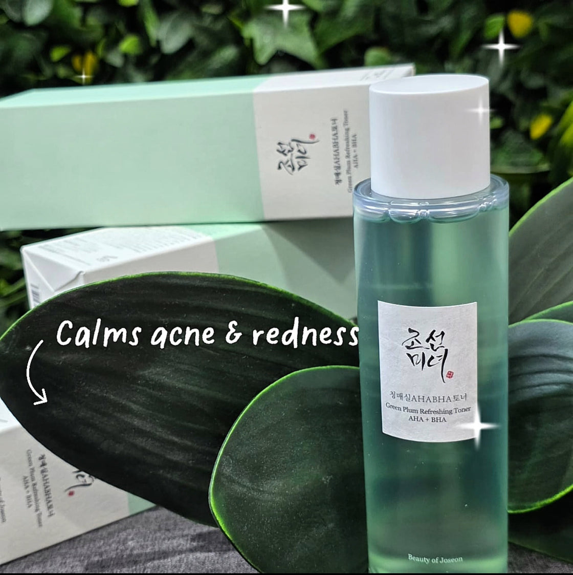 Beauty of Joseon Green Plum Refreshing Toner AHA+BHA