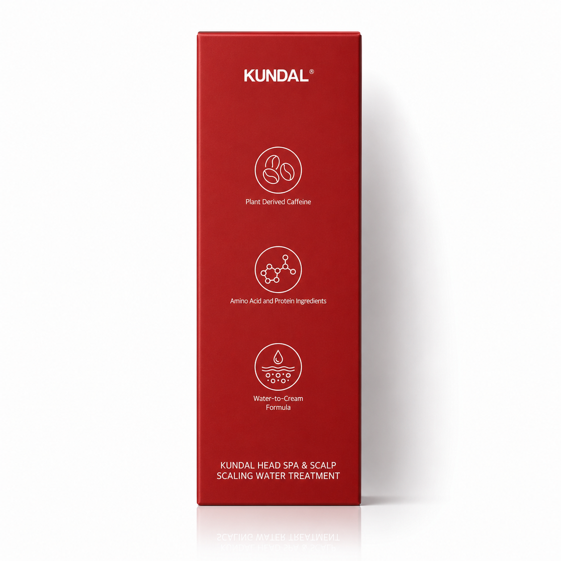 Kundal Head Spa & Scalp Scaling - 300ml