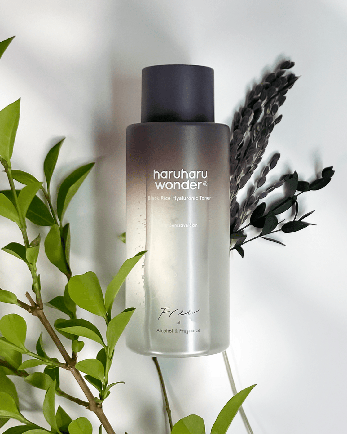 Haru Haru Wonder Black Rice Hyaluronic Toner 150ml